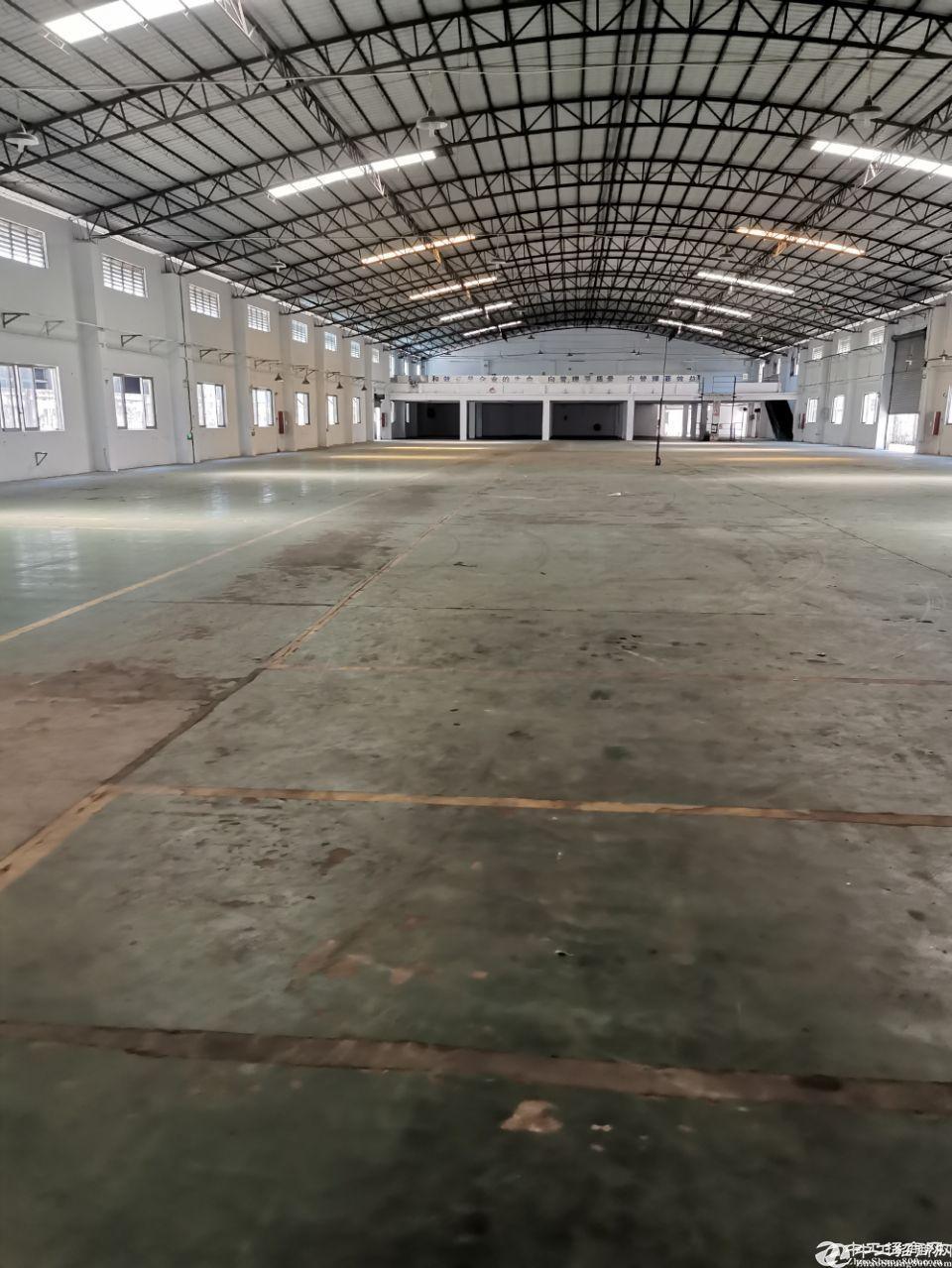 钟村正规工业区钢构厂房仓库1800平米出租，滴水8米