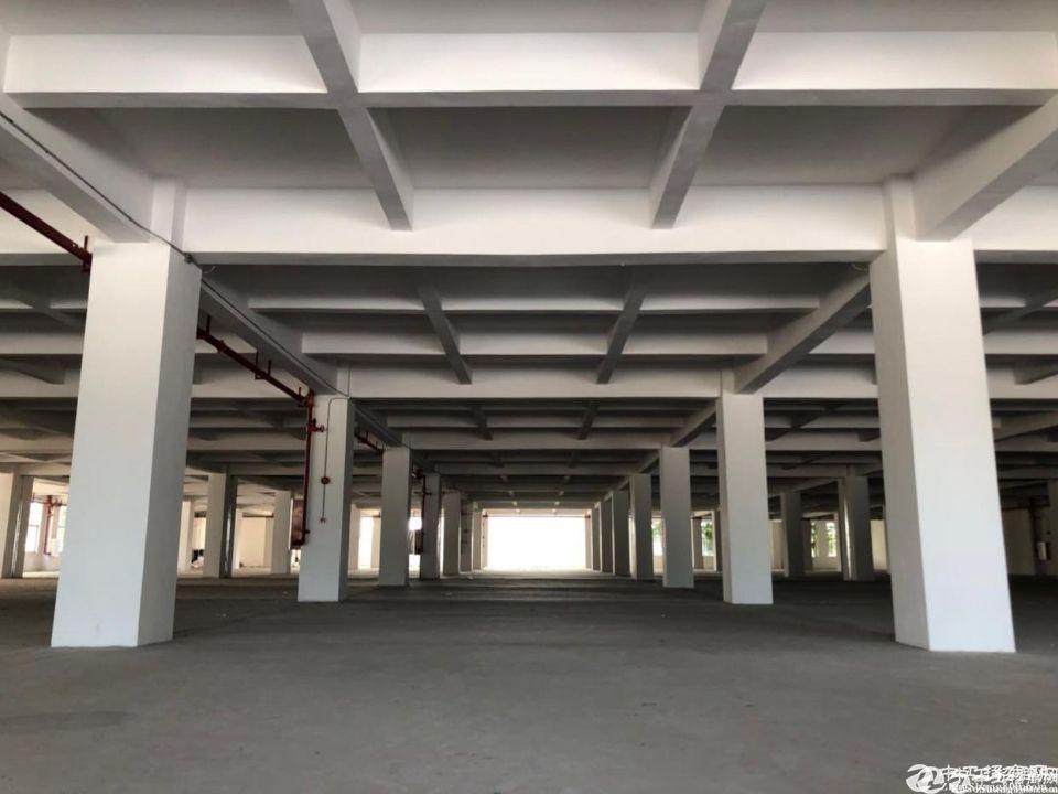 番禺钟村标准厂房仓库1200平方招租一楼层高5米可分租过环评