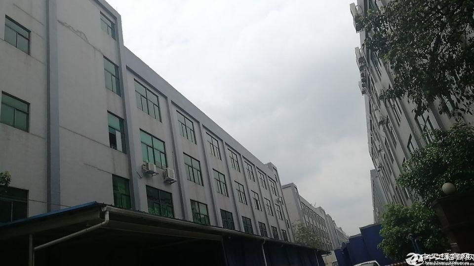 番禺村国道边工业园区标准厂房仓库一楼1800方带牛角