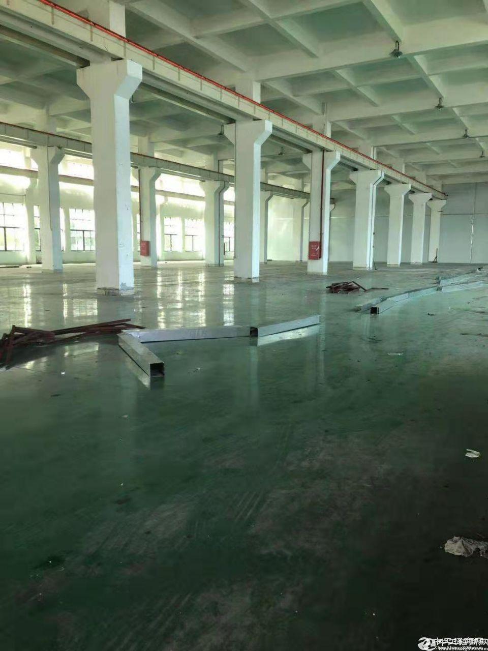 钟村镇 新出独院带地坪漆 厂房仓库3200平米招租 可办环评。。