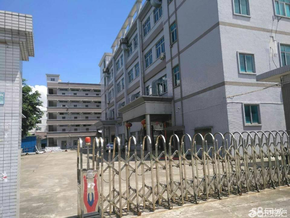 深圳平湖中心小学附近新出楼上300平方带装修厂房仓库出租