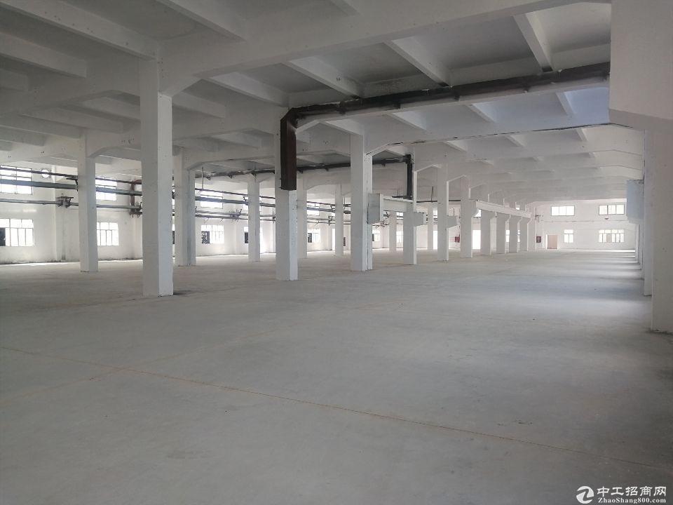 厚街镇宝屯村新出原房东楼高7米可做商业与生产研发的红本厂房