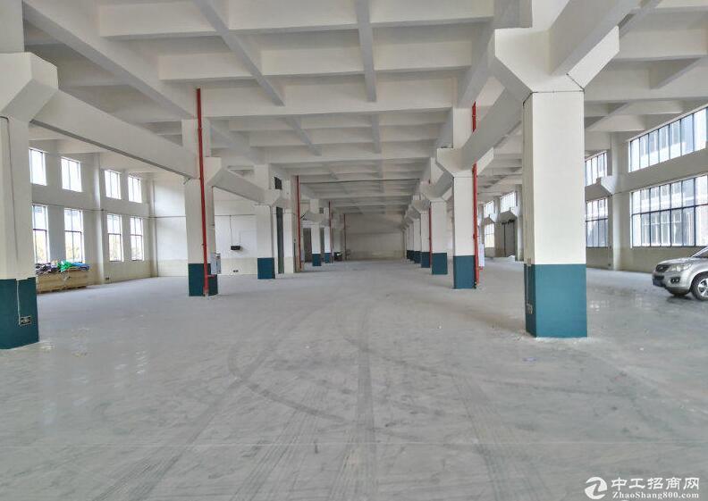 九龙坡白市驿6000平标准框架结构厂房 仓库