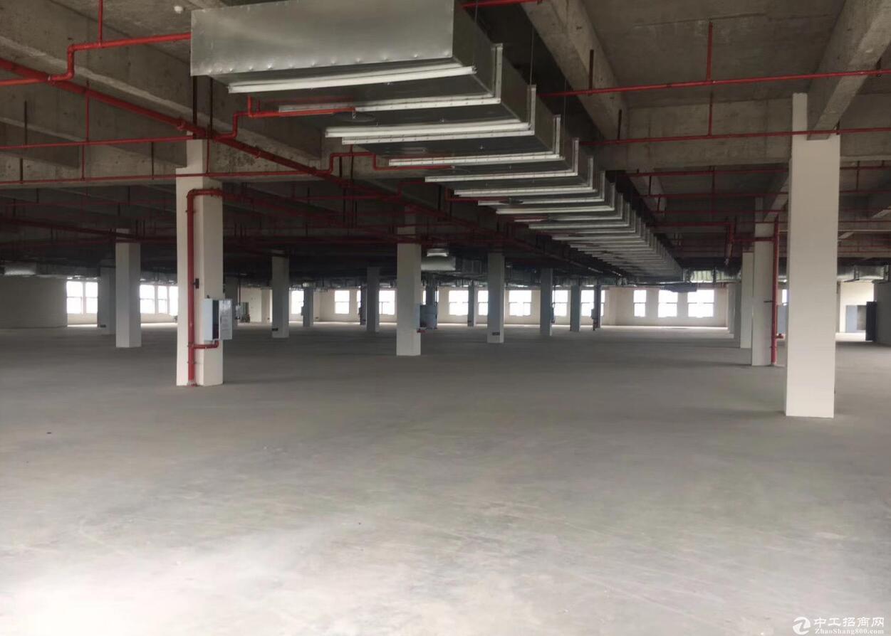 九龙坡金凤工业园区灼映标准厂房1250平米起租