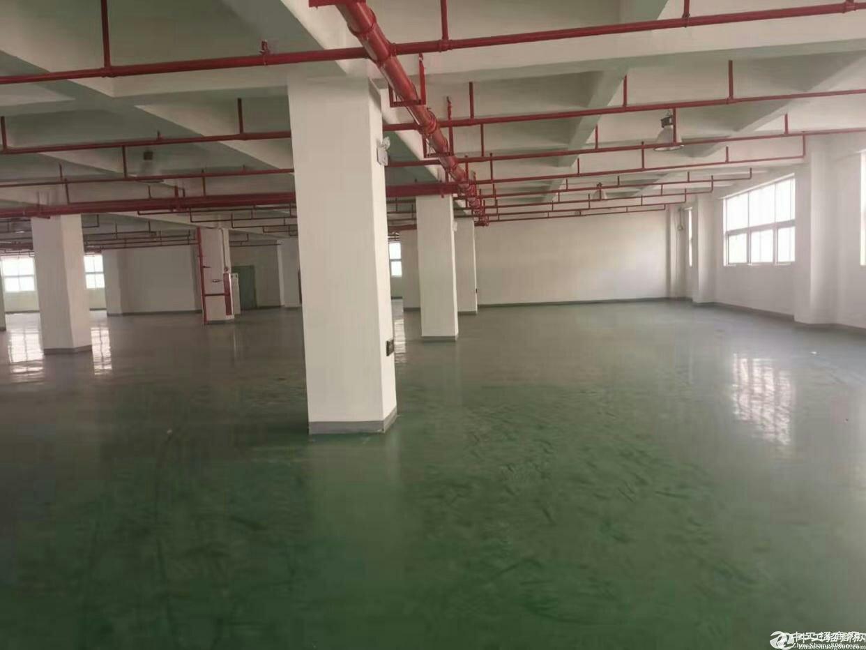 广州市黄埔区经济开发区东区新空出原房东标准厂房700平出售
