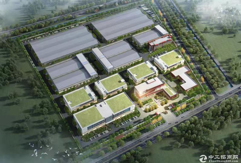 东营市利津县创智绿谷厂房、办公楼，对外出租、出售-图3
