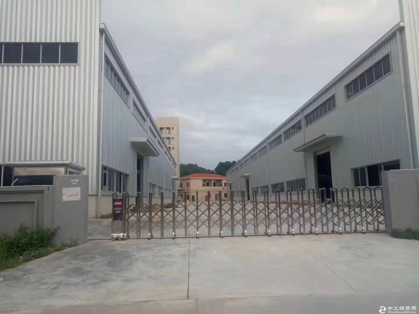 桂城钢结构厂房出租42000平方