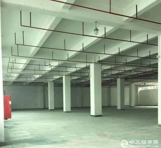 徐州安全科技园5000平标准厂房出租