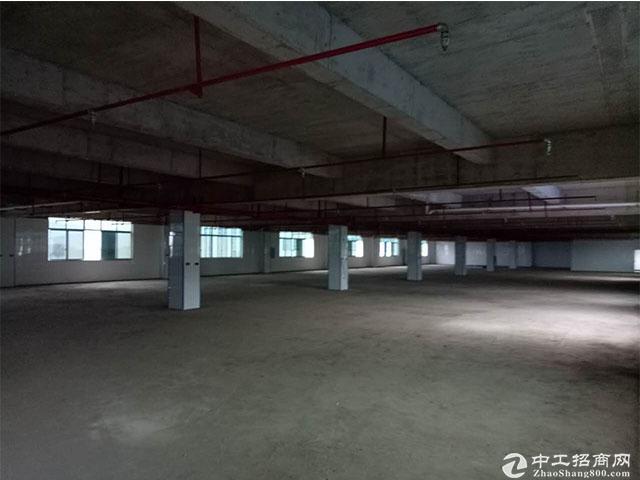 浏阳市两型产业园600-1500平米全新钢结构厂房出租