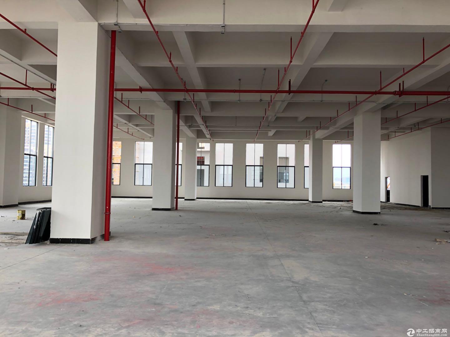 厚街新出2000平方带装修厂房出租，层高7.5米-图4
