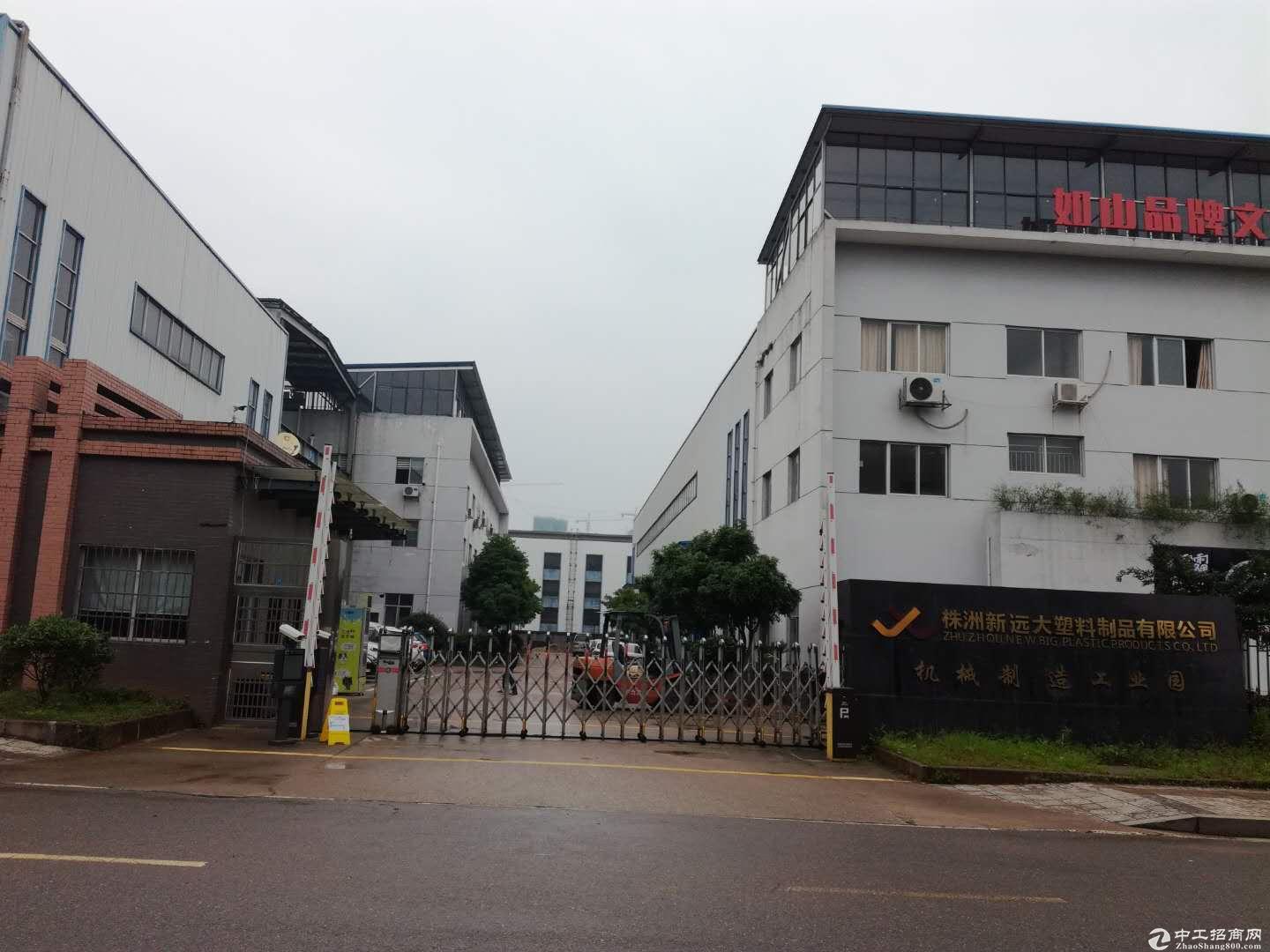 田心高科园标准厂房出租