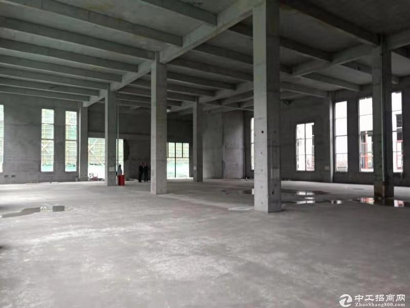 天津东丽厂房出售1600平|框架结构，均价3200