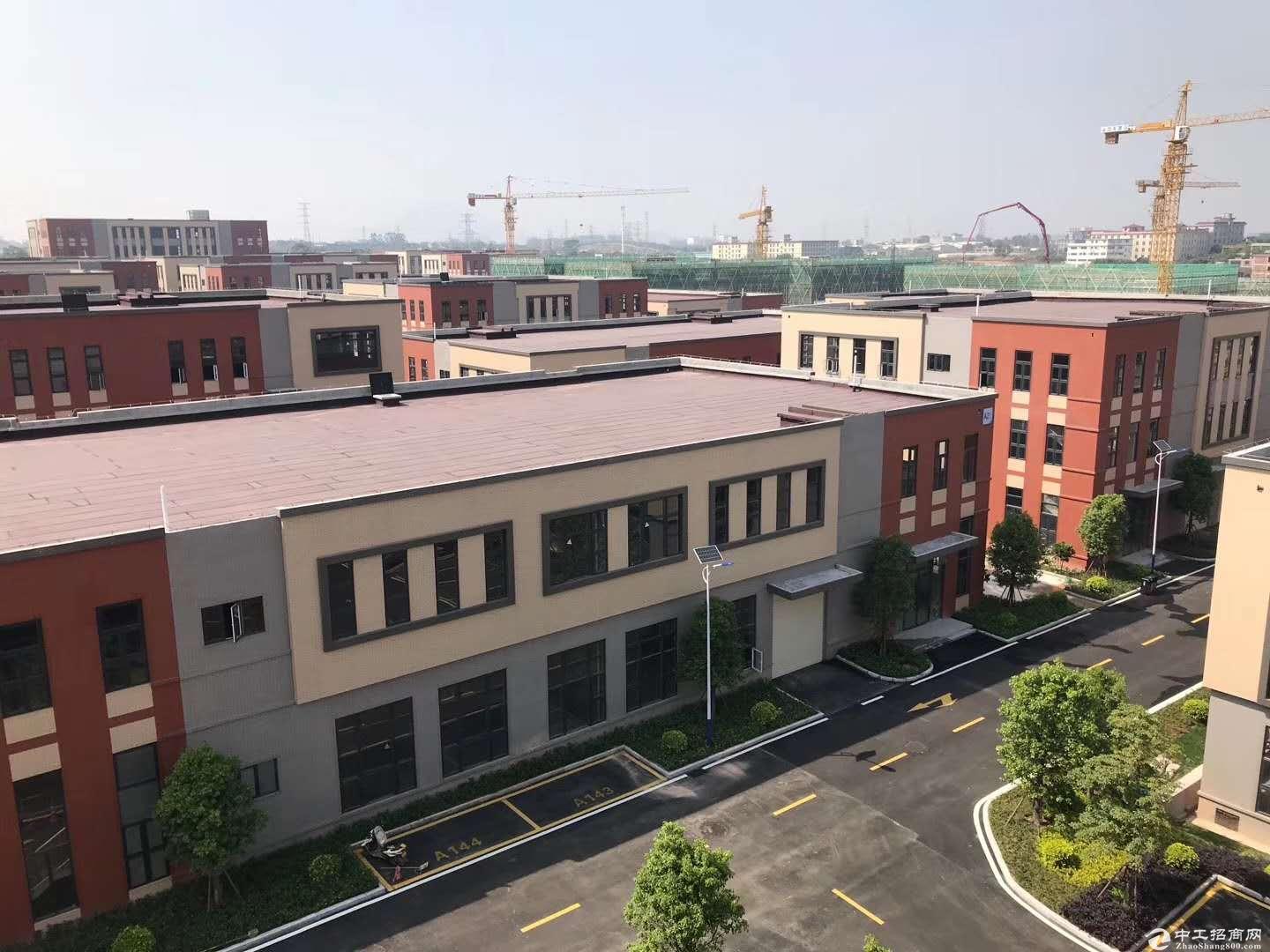 天津东丽厂房出售1600平|框架结构，均价3200-图7