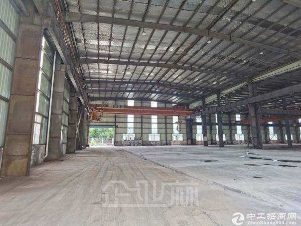出租 锦丰镇政府园区全新厂房 2500—10000平米 长期稳定-图2