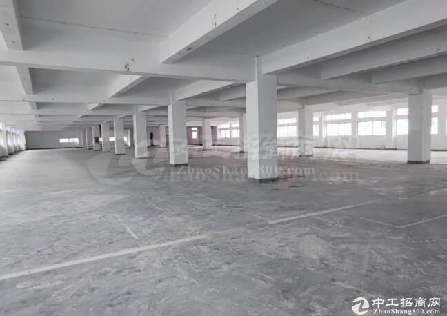 西丽阳光工业区820平方―2600平方一楼厂房招租装修厂房