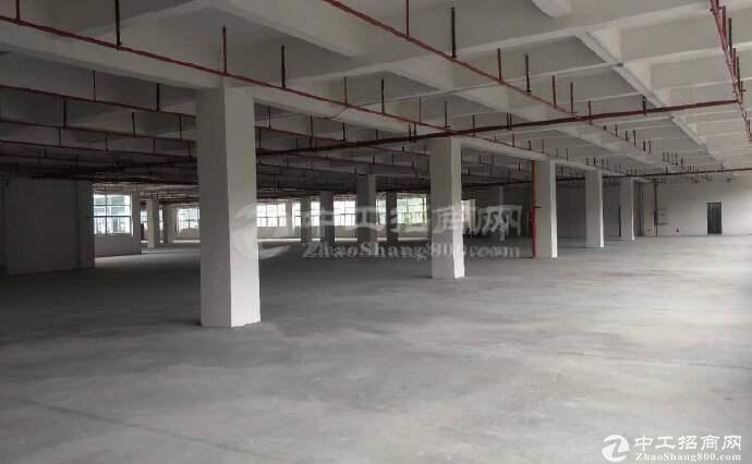 中山市工业区500-20000平大小随意分租厂房仓库出租。