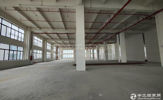 中山市马安工业区附近新出一楼3750平方标准厂房出租，