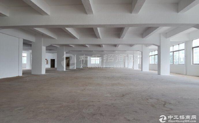 中山市新出标准高台物流仓库出租厂房面积：14630平方米