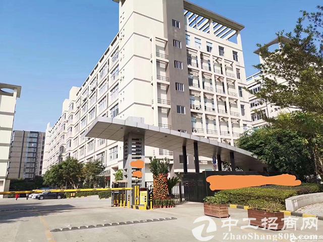 百万蚁房与千万豪宅：深港楼市不一样的表情