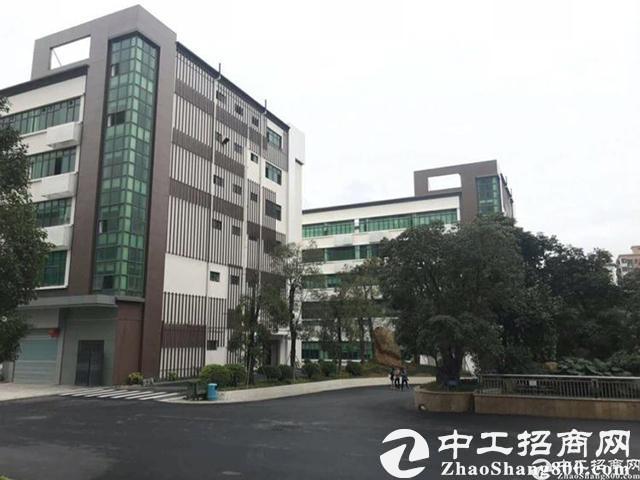 仓库租赁知道这些再也不会入坑啦！