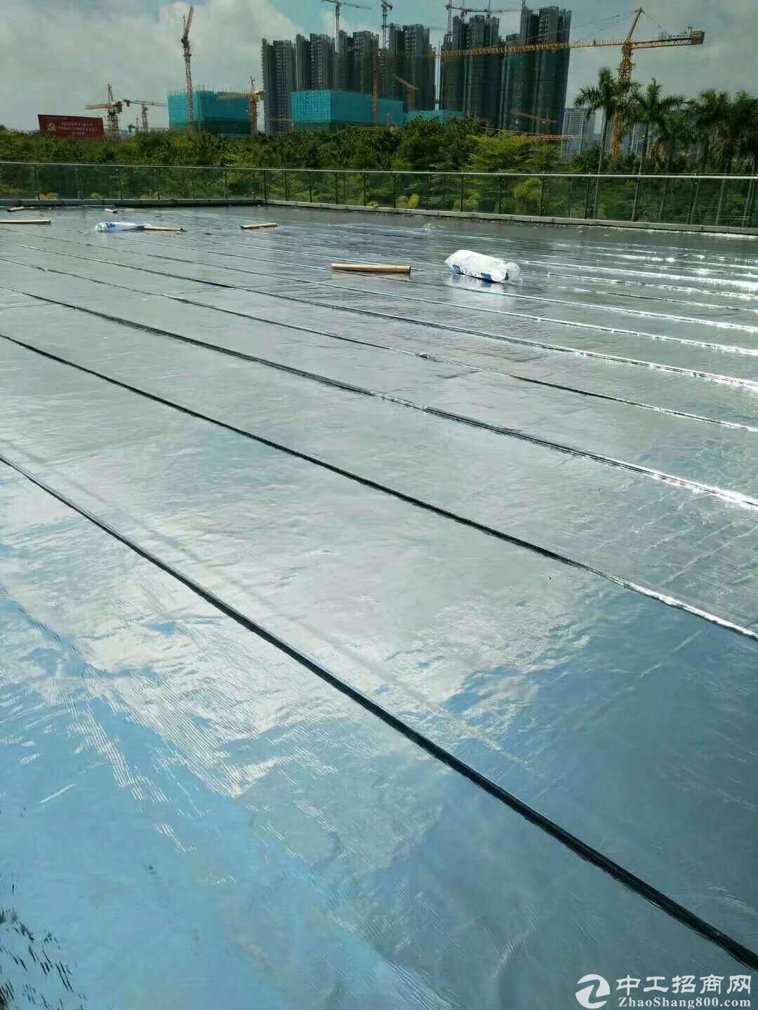 防水卷材/防水涂料被列入陕西2019年产品质量省级监督抽查计划