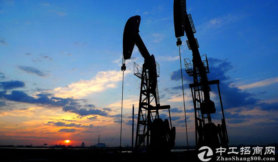 「能源产业」中国能源转型速度引世界聚焦