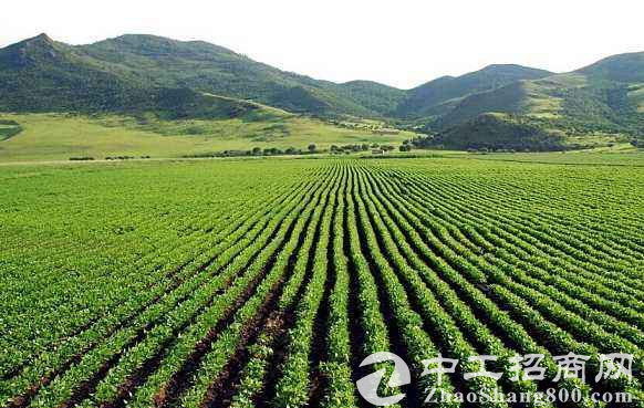 【重磅】广东出台支持产业转移工业园用地提升土地利用质量效益的若干意见