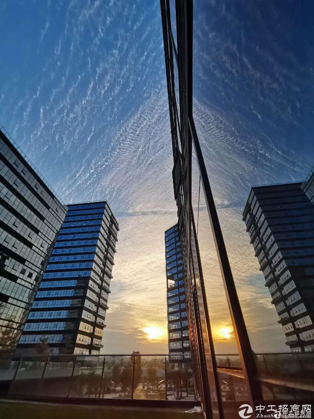 第一太平戴维斯：金融业退租 深圳写字楼跌到低谷租金最高下跌30%