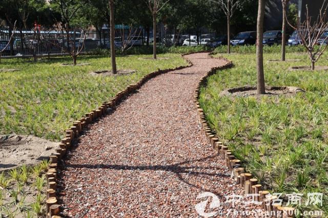 建筑垃圾再生之旅：从厂房到工地，道路公园再相见