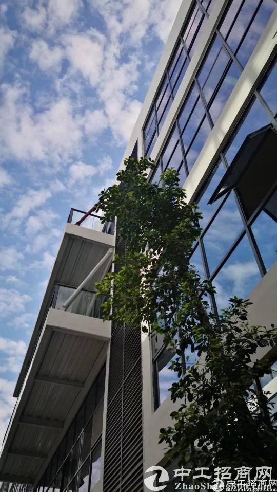 办公室装修市场上的一些陷阱