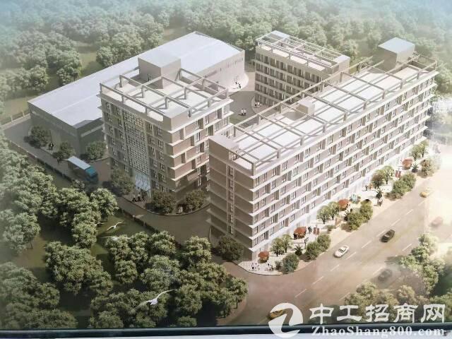 从村级工业园到现代产业社区 ——高质量发展的桂城故事