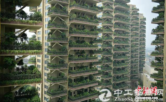 三步遇草地，五步见森林！“垂直森林”住宅让人叹为观止
