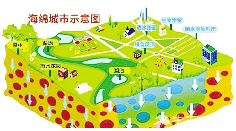 深圳南山区大力推进海绵城市建设 今年新增面积6.84平方公里