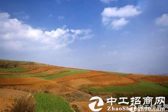 中国土地市场持续活跃 50城“卖地”收入同比涨13.2%（组图）
