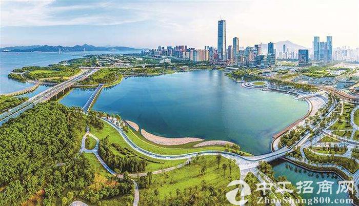 大湾区商务需求旺盛 推高写字楼投资价值