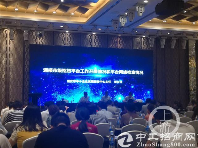 重庆上线中小企业政策大数据平台 提供精准定制服务