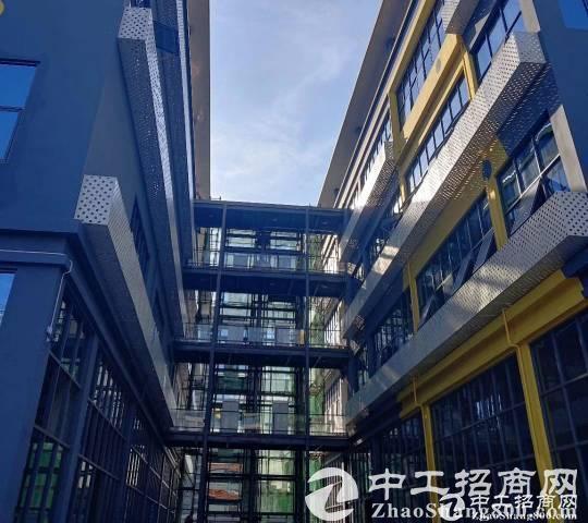 重庆大数据|《2019年上半年重庆房地产市场回顾与未来展望》发布