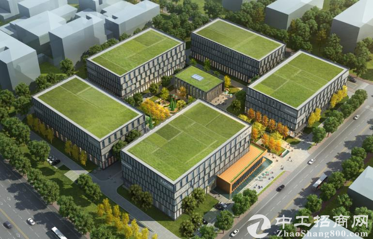来安新型显示产业园项目招商