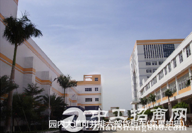 【新盘亮相】惠州蜜蜂科技园全新厂房隆重招商