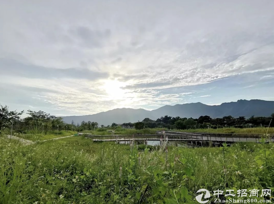 深圳公布新一批公园选址，快看看有在你家附近吗？