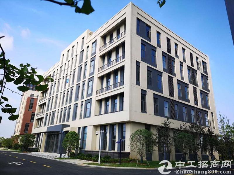 光谷芯中心：聚集200家大型企业 打造武汉稀缺产业基地