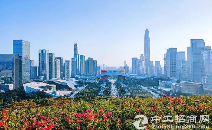 深圳推10条新措施，支持头部企业发展