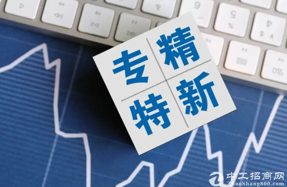 专精特新“小巨人”企业数量TOP100城市发布