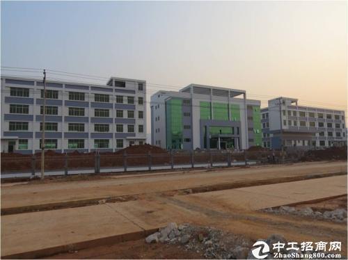 四川省眉山彭山谢家镇，工业土地出售，配套齐全