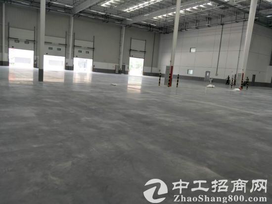 惠州高速路口新出丙级4万平米12米高单一层物流仓库出租