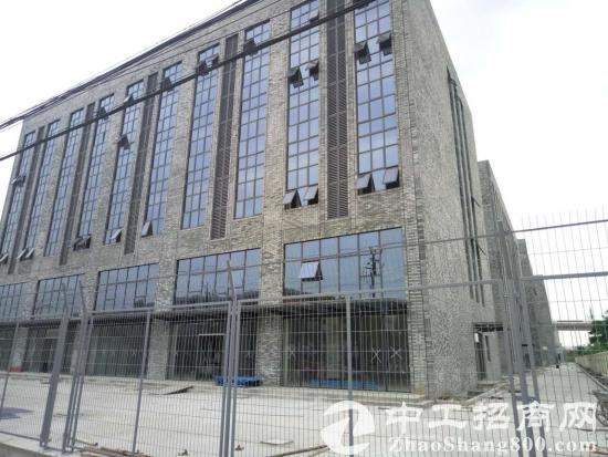 松江新桥工业区新建独栋厂房2000平出租可环评