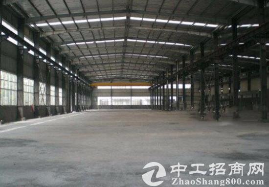 桐乡大型钢结构厂房分租4000平方米