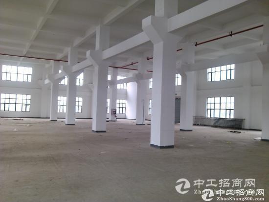 南京开发区新出标准厂房8400平方出租 可分租