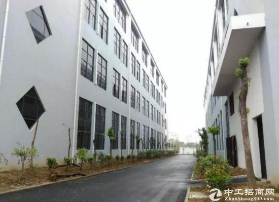 舒城2300至3万方全新优质稀缺框架厂房租赁