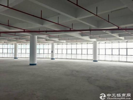 龙岗宝龙工业城红本独院出售19000平米